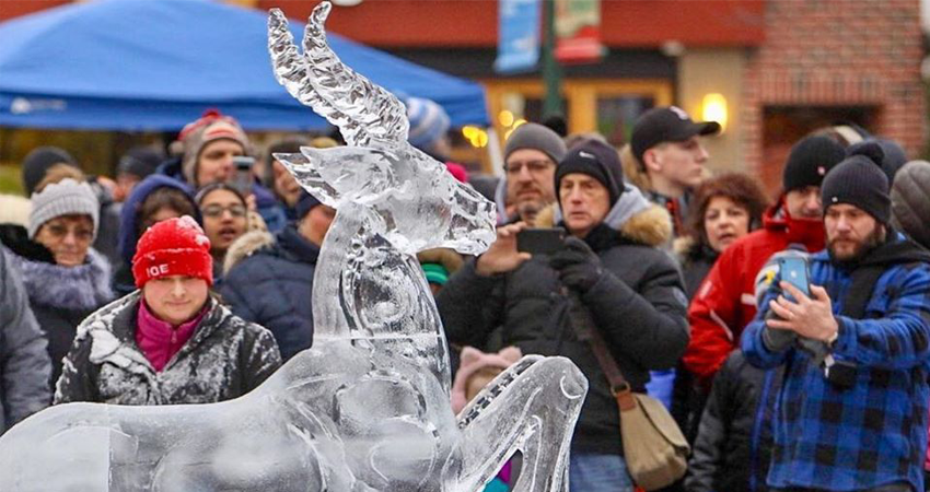 12 January Events in Ann Arbor to Mark On Your Calendar